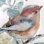 Honeybloom Glass Framed Bird Print Wall Art, 16"