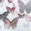 Laila Ali Framed Butterfly Canvas Wall Art, 20x16