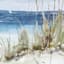 Ty Pennington Framed Coastal Canvas Wall Art, 36x24