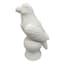 Grace Mitchell White Ceramic Parrot Figurine, 7"