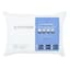 Allergy Protection Bed Pillow, Standard/Queen