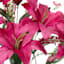 Pink Tiger Lily & Astilbe Floral Spray, 19"