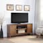 Carter Wooden Media Cabinet, Brown