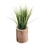 Grass Bundle in Wooden Pot, 9"