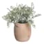 Dusty Miller Faux Plant in Wood Pot, 11"