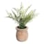 Natural Maidenhair Spray in Wooden Pot, 11"