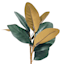 Magnolia Leaf Spray, 16"