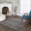 (D563) Venus Black & Grey Area Rug, 4x6