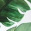 Framed Leaf Canvas Wall Art, 36x24