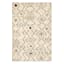 (D544) Nomad Ivory Zigzag Area Rug, 5x7