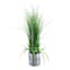 Grass Plant with Silver Ribbed Planter, 29"