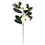 Magnolia Floral Stem, 30"