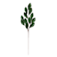 Green Magnolia Leaves Stem, 34"
