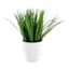 Grass Plant with White Planter, 10"