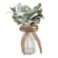 Green Lambs Ear Plant with Glass Vase, 14"