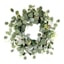 Eucalyptus Wreath, 24"