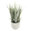 Grass Plant with White Cement Planter, 7"