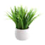 Ty Pennington Green Grass Bundle with Ceramic Planter, 10"