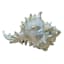 Ty Pennington Metallic Whelk Shell, 5"