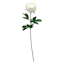 Providence White Peony Floral Stem, 33"
