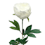 Providence White Peony Floral Stem, 33"
