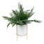 Fern in White Pot, 14"