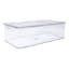 Clear Hinged Storage Organizer, Medium