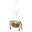 S-Hook Outdoor Plant Hanger
