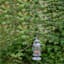 S-Hook Outdoor Plant Hanger