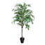 Potted Willow Tree, 5'