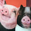 Pig BFF Canvas Wall Art, 12"
