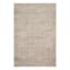 (B766) Carolina Taupe Area Rug, 5x7