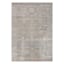 (B769) Helena Grey Floral Area Rug, 5x7