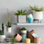 Ty Pennington Indoor White Glass Pot, 5"