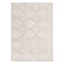 (D560) Brantley Grey Diamond Design Area Rug, 5x7