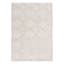 (D560) Brantley Grey Diamond Design Area Rug, 8x10