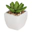 Set of 3 Succulents in White Vase
