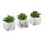 Succulent in Marble-Look Cement Pot, 4"