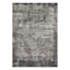 (B528) Holden Abstract Gray Area Rug, 5x7