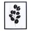 Found & Fable Framed Black Stem Botanical Canvas Wall Art, 17.5x21.5