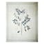 Honeybloom Botanical Leaf & Script Canvas Wall Art, 16x20