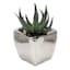 Set of 3 Succulents In Box Vase, Silver