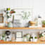 1-Piece Succulent Bookend, 6"