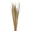 Flax Grass - Natural
