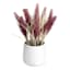 Honeybloom Mauve Dog Tail in Ceramic Pot, 11"