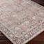 (B784) Providence Colin Multi Floral Washable Area Rug, 8x10