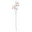 Natural Firmiana Simplex Spray, 30"