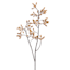 Natural Firmiana Simplex Spray, 30"