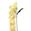 Yellow Hanging Hydrangea Floral Stem, 36"