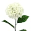Large White Hydrangea Floral Stem, 37.5"